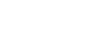 Hawk-Logo-White