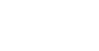 Hawk-Logo